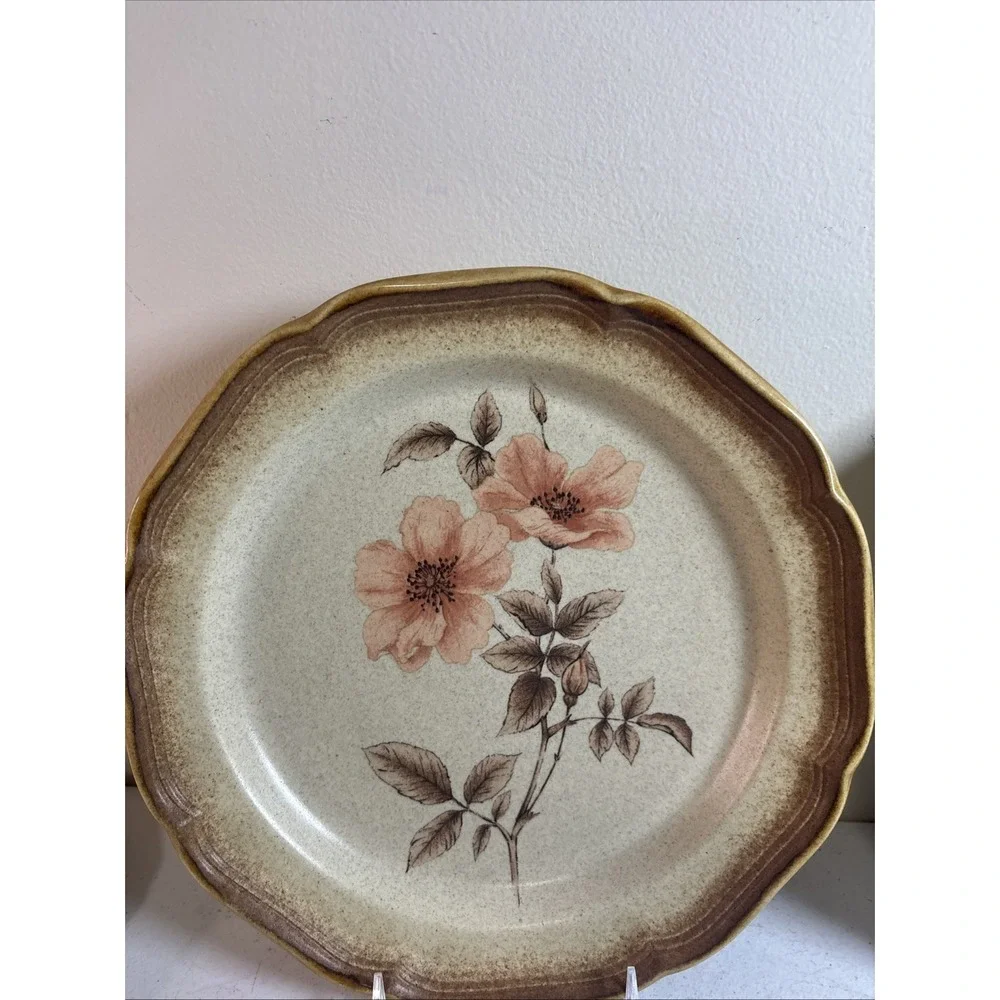 Mikasa‎ Whole Wheat ROSE DUET E8015 Dinner Plates 10.75